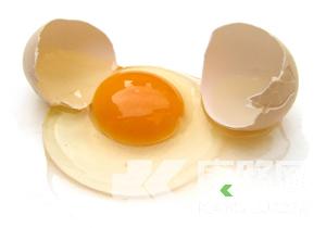 �Ա���֮�u�������Թ���