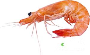 �Ա���֮��ʳ�r���a��