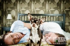 熟女從不外傳的情愛技巧大揭秘