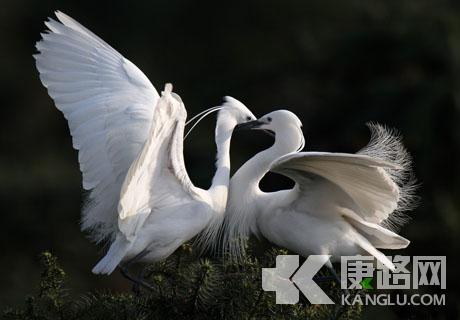 ?����?o?��u2?oa3e2?